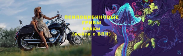 герыч Аркадак